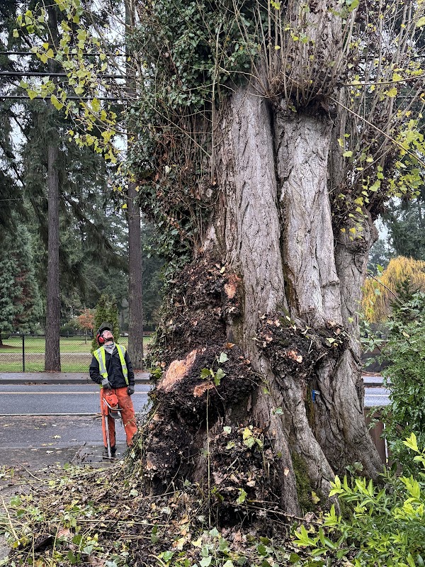 Kirkland Cemetery grounds