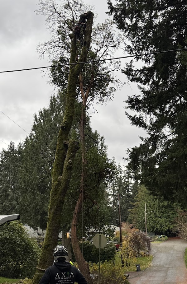 Kirkland Cemetery grounds