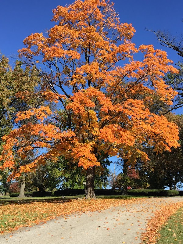 Lake Charles Park Cemetery grounds