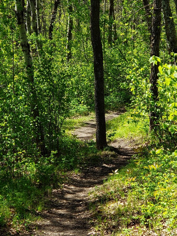 Lake Metigoshe State Park grounds