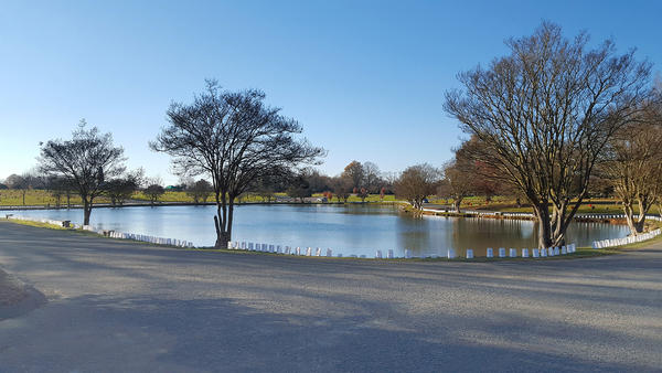 Lakeland Memorial Park grounds