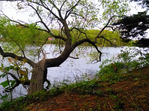 Lakeside Cemetery grounds