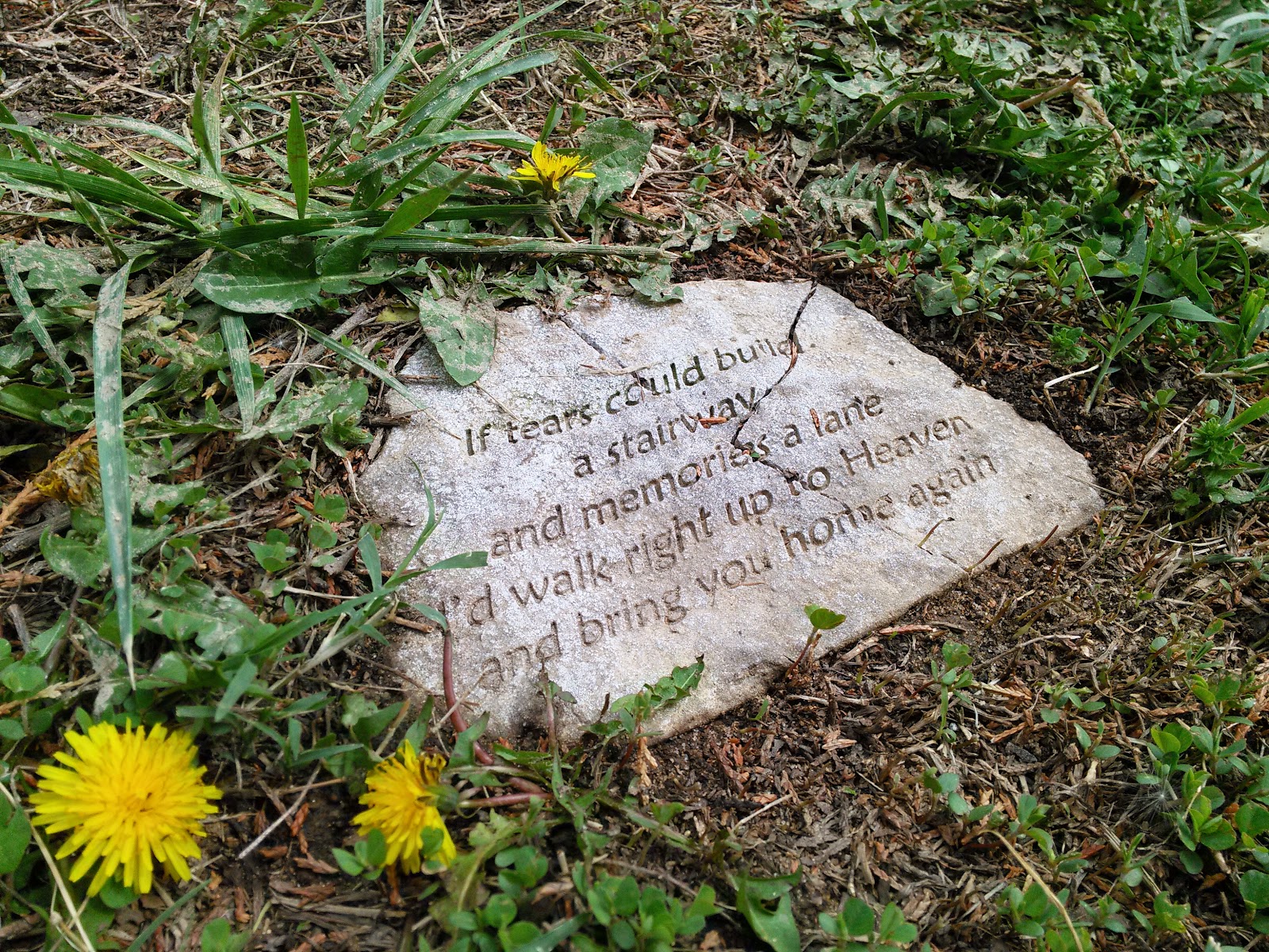 Lakeside Cemetery cemetery grounds and headstones