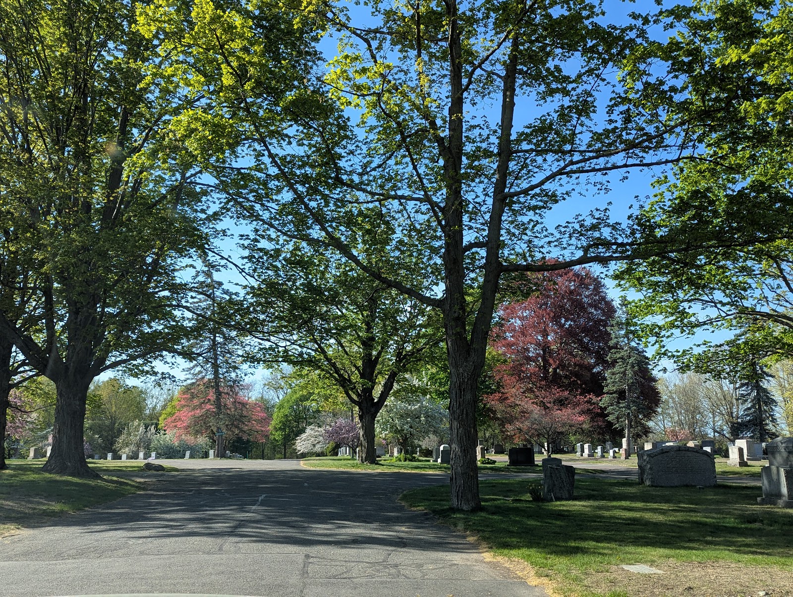 Lakeside Cemetery cemetery grounds and headstones