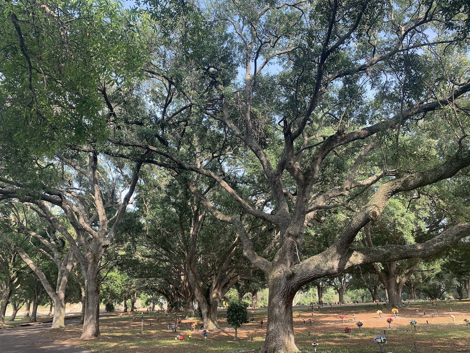 Lakeside Memorial Park cemetery grounds and headstones