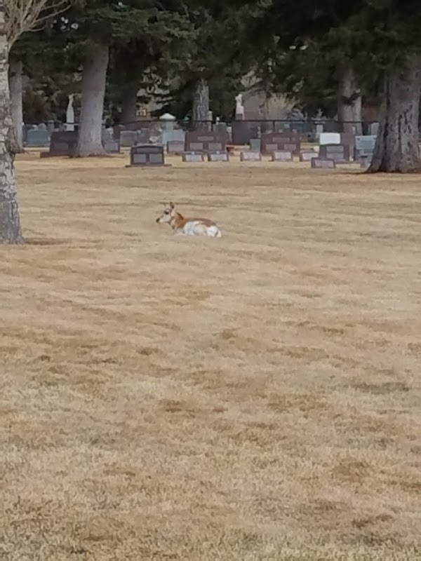 Lakeview Cemetery grounds