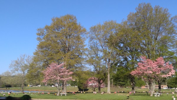 Lakeview Memorial Park grounds