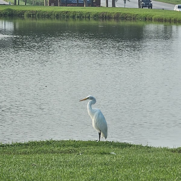 Lakeview Memory Gardens grounds