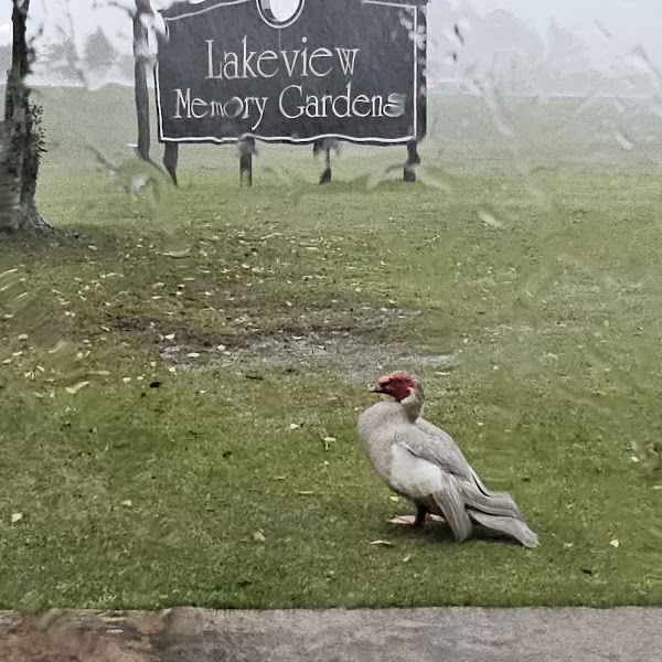 Lakeview Memory Gardens grounds