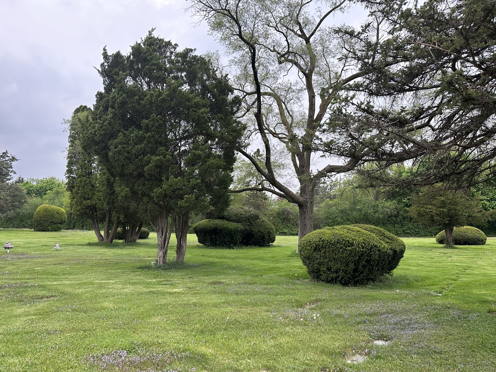 Lakewood Memorial Park cemetery grounds and headstones