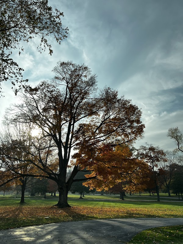 Lakewood Park Cemetery grounds