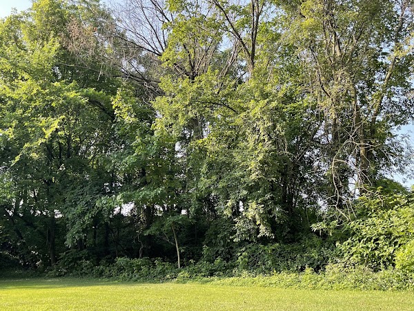 Laurel Cemetery grounds