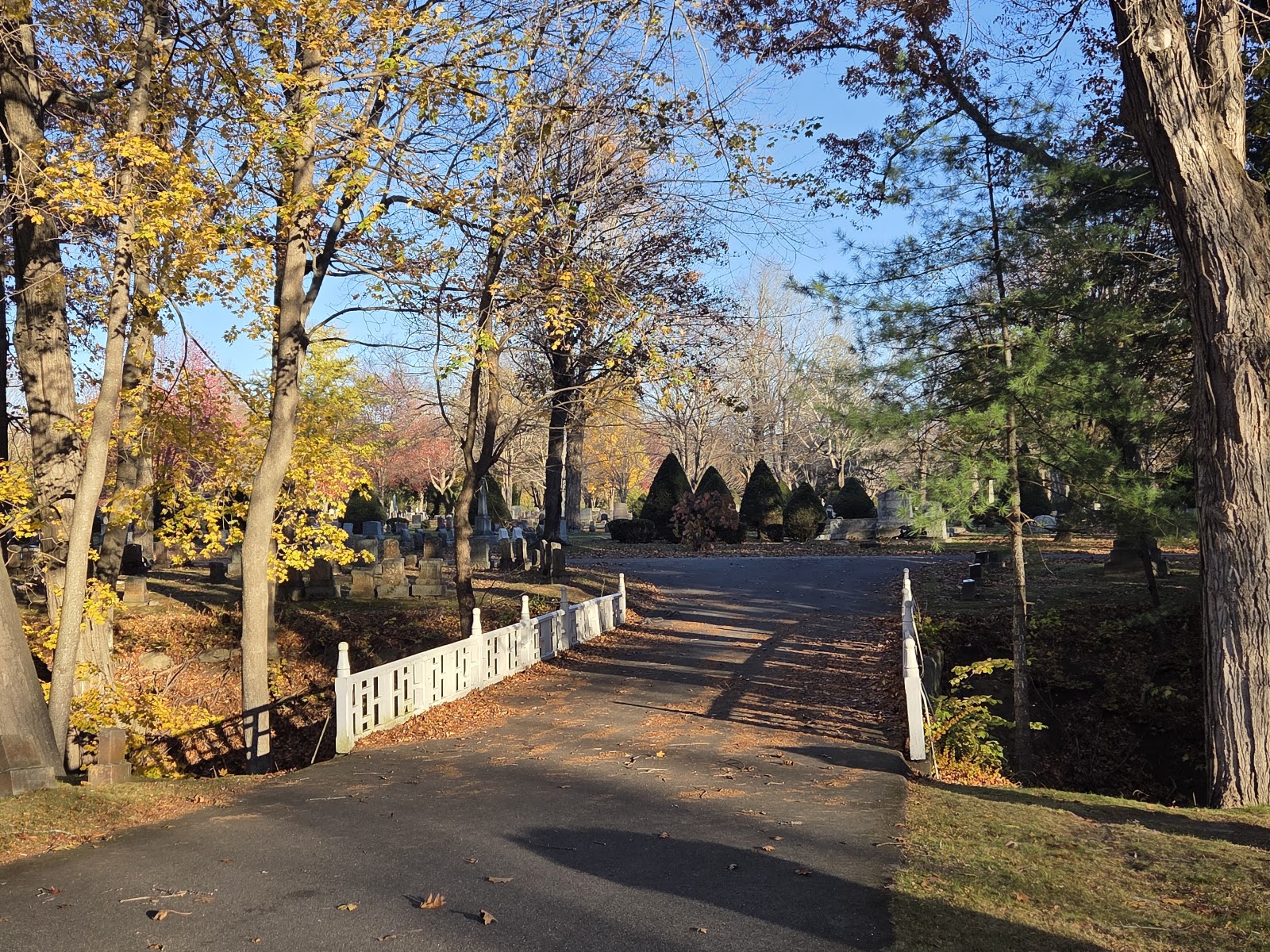 Laurel Hill Cemetery Associates