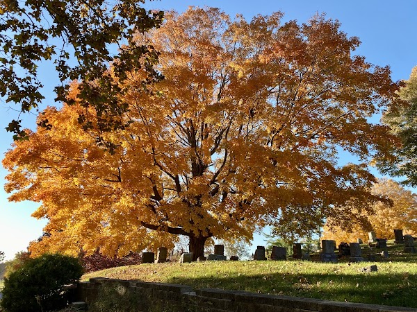 Laurel Hill Cemetery grounds