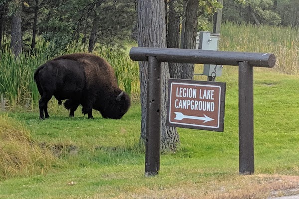 Legion Lake Campground grounds