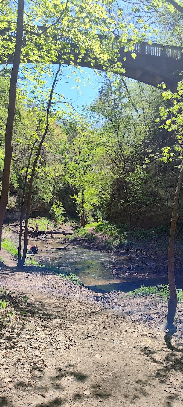 Lehigh Memorial Park grounds