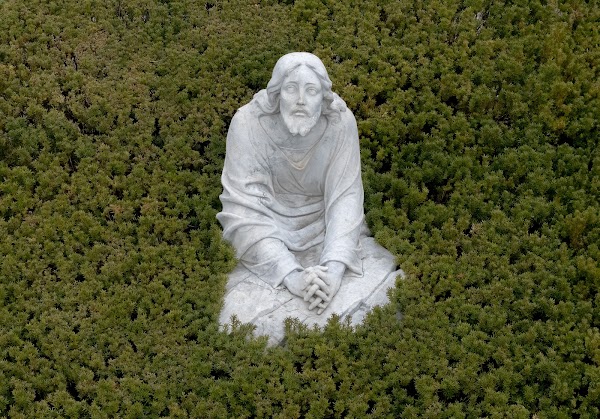 Lenawee Hills Memorial Park grounds