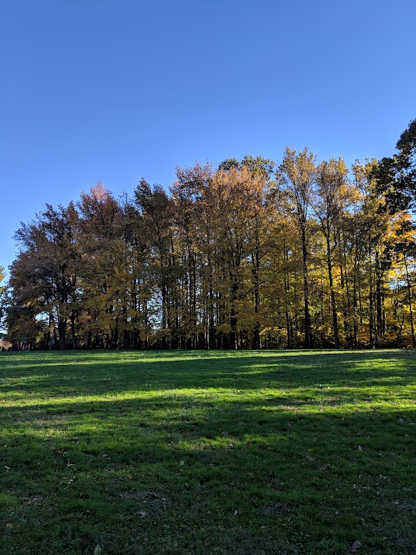 Lesher Memorial Park grounds