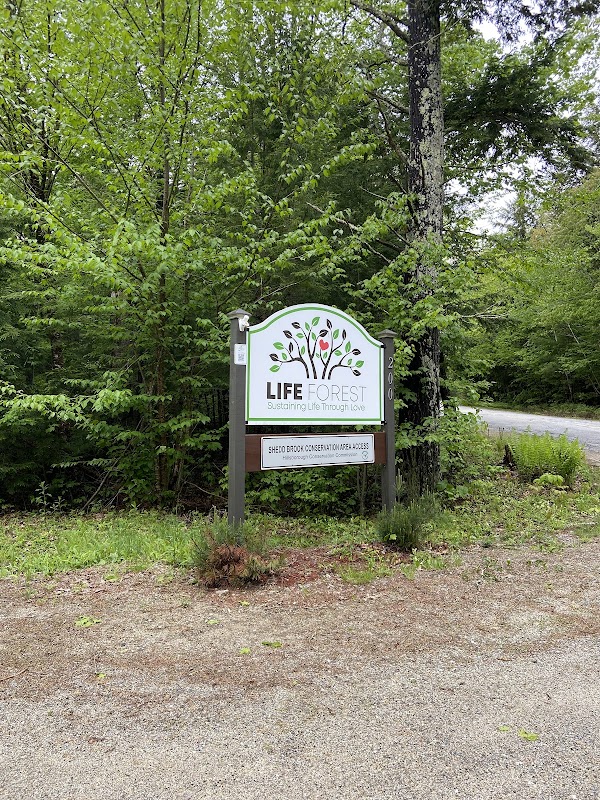 Life Forest grounds