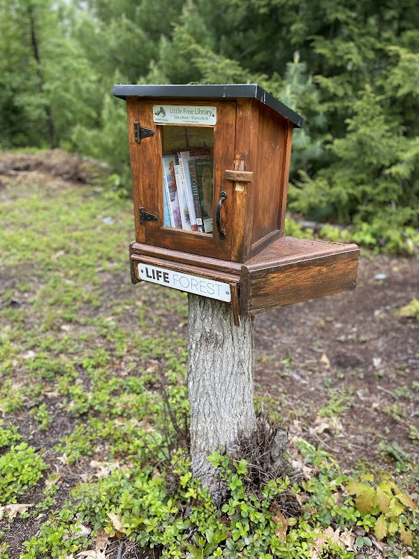 Life Forest grounds