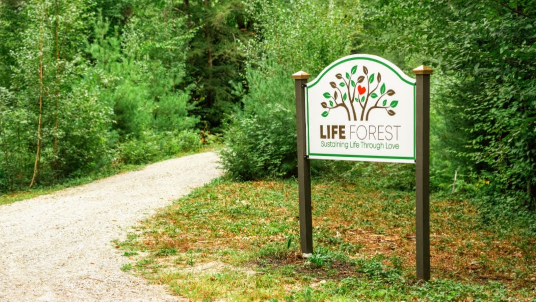 Life Forest cemetery grounds and headstones