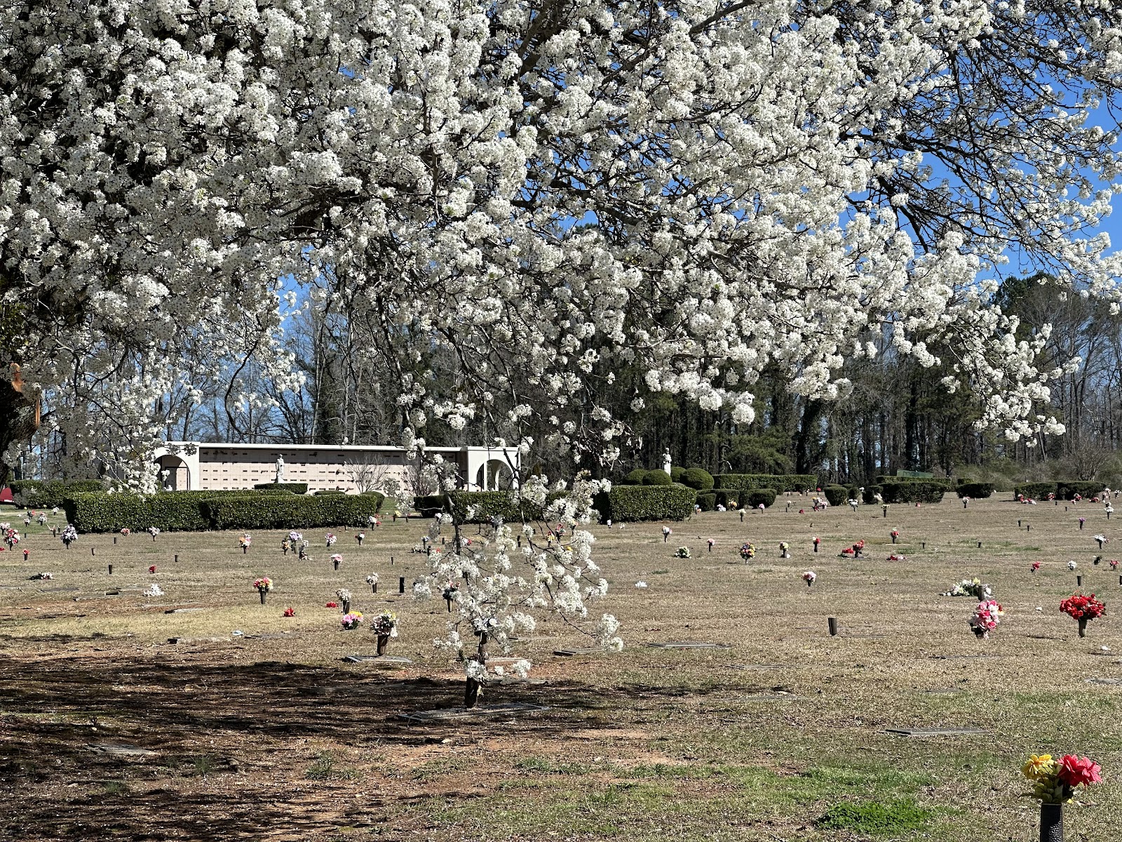 Lincoln Cemetery
