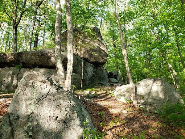 Lincoln Woods State Park grounds