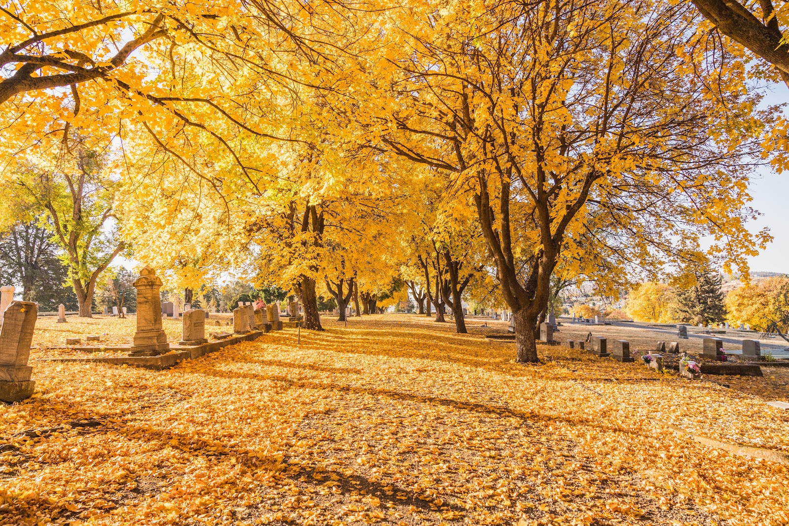 Linkville Cemetery