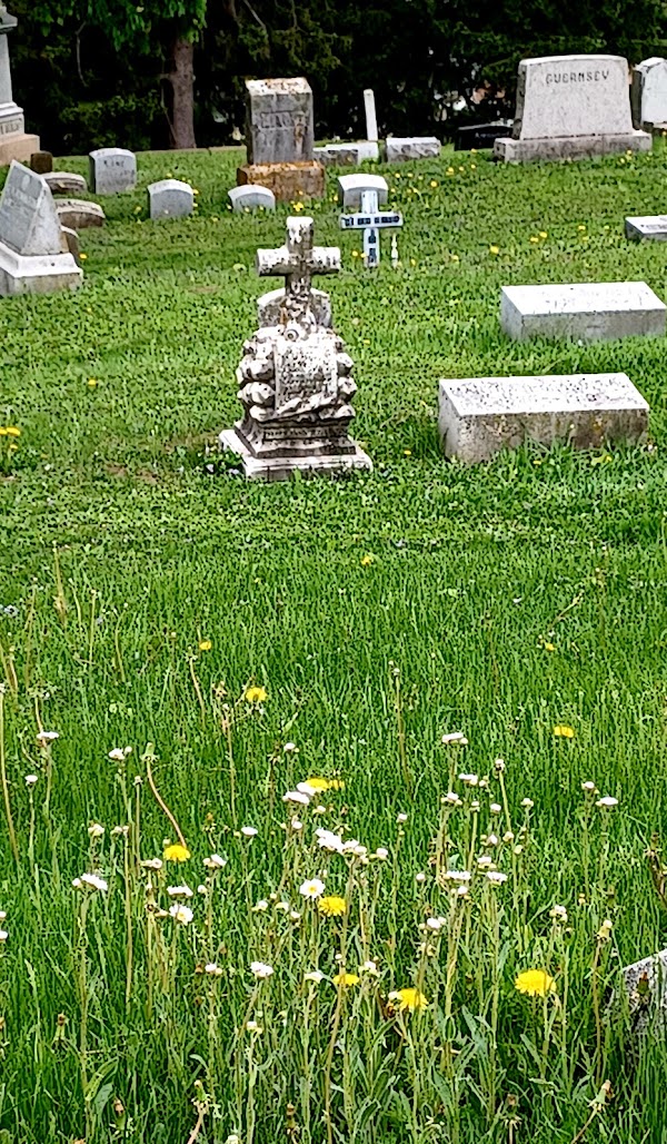 Linwood Cemetery grounds