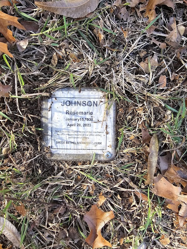 Little Bethel Cemetery - Texas State Historical Marker grounds