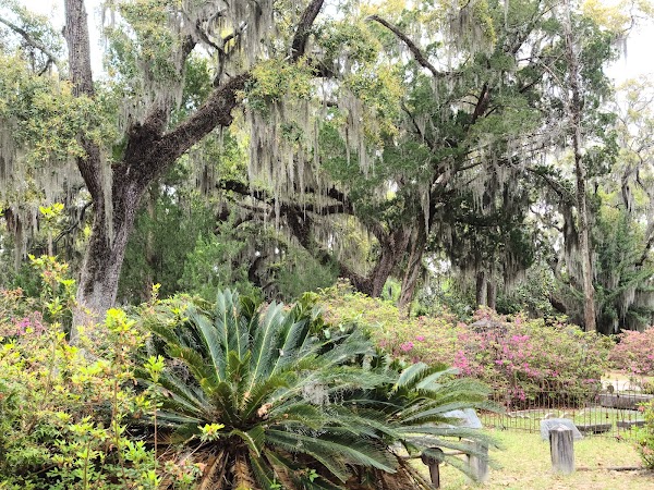 Little Gracie Watson grounds