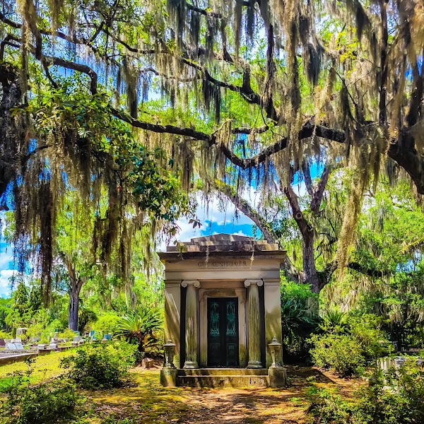 Little Gracie Watson grounds