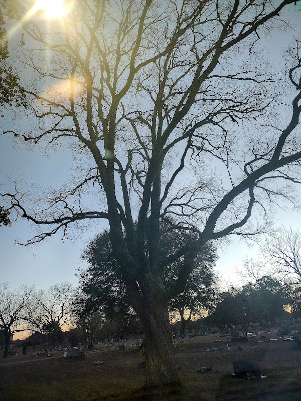 Live Oak Cemetery grounds