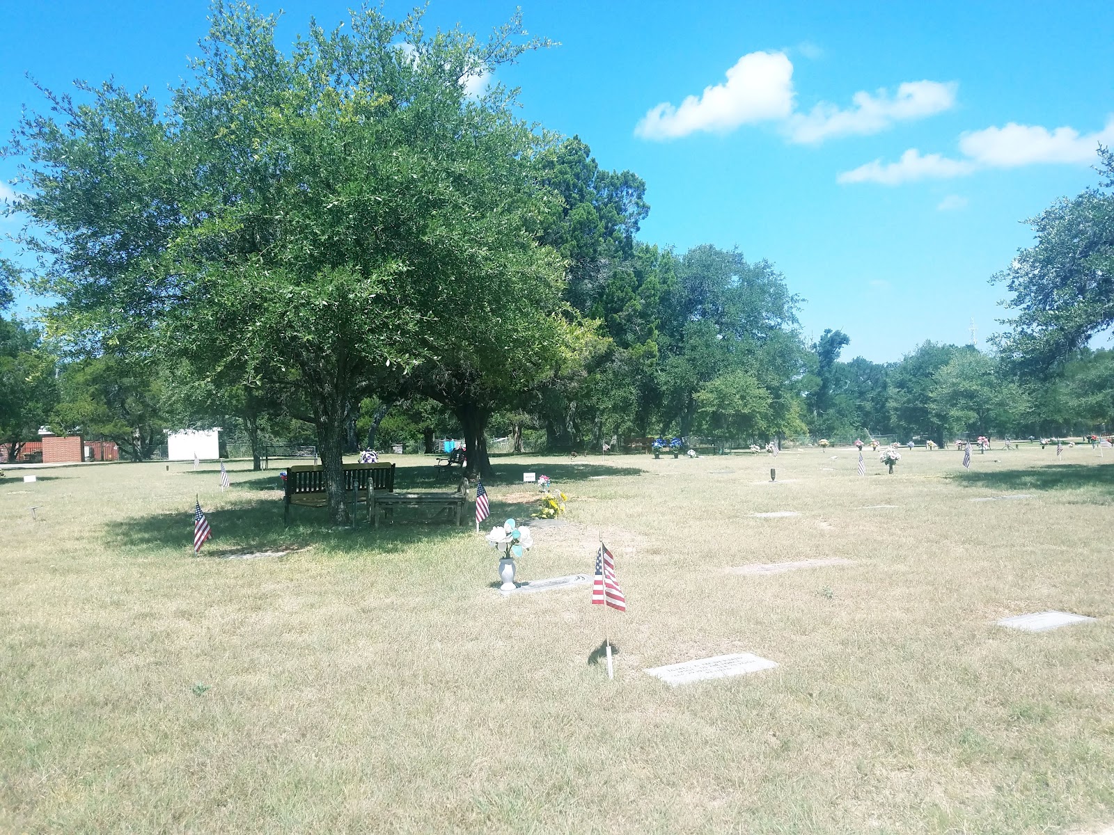 Live Oak Cemetery cemetery grounds and headstones