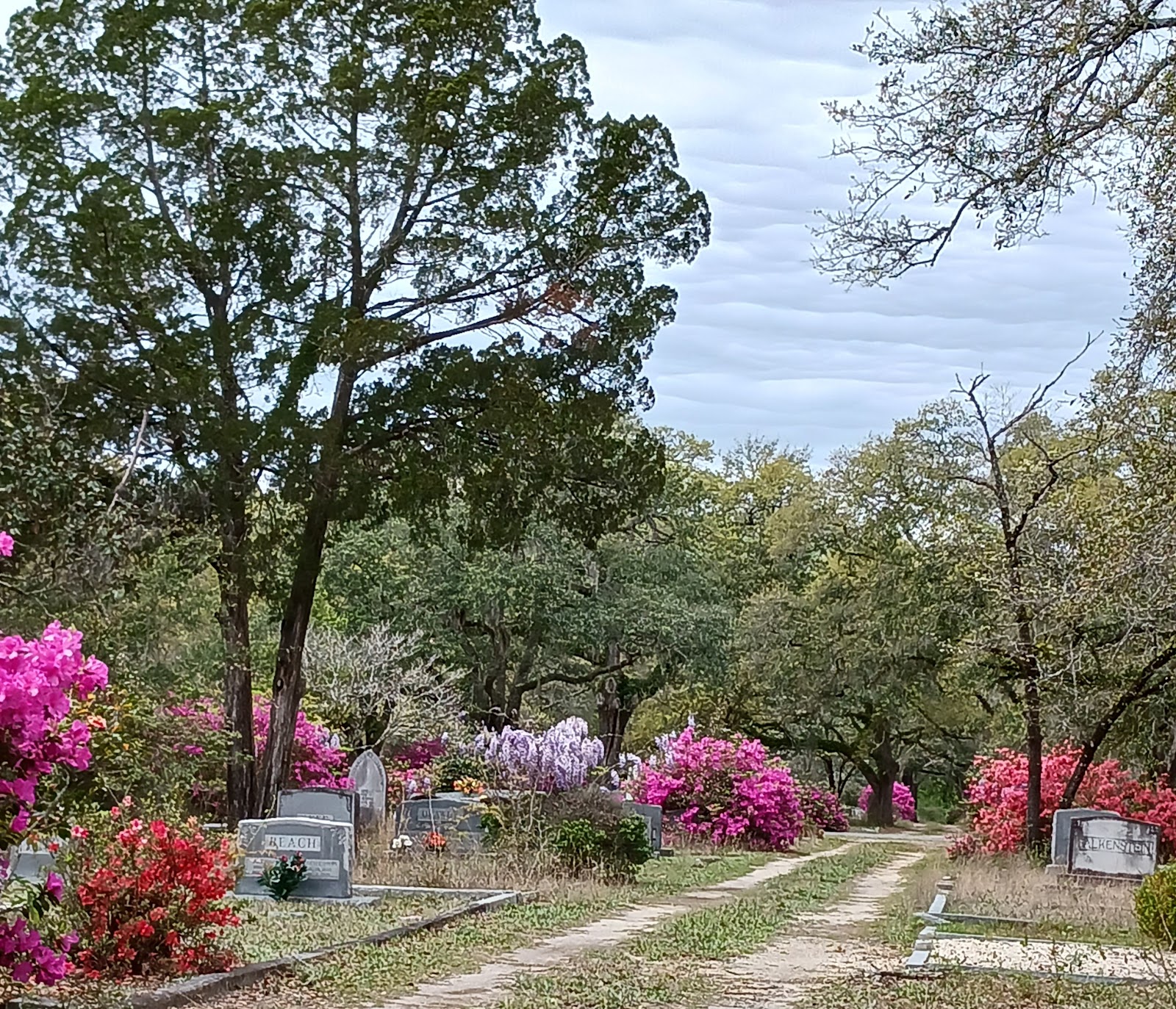 Live Oak Cemetery headstone and grounds