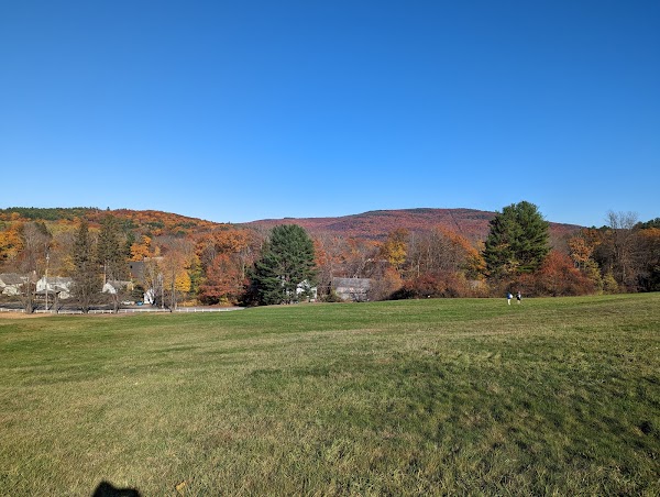 Living Memorial Park grounds