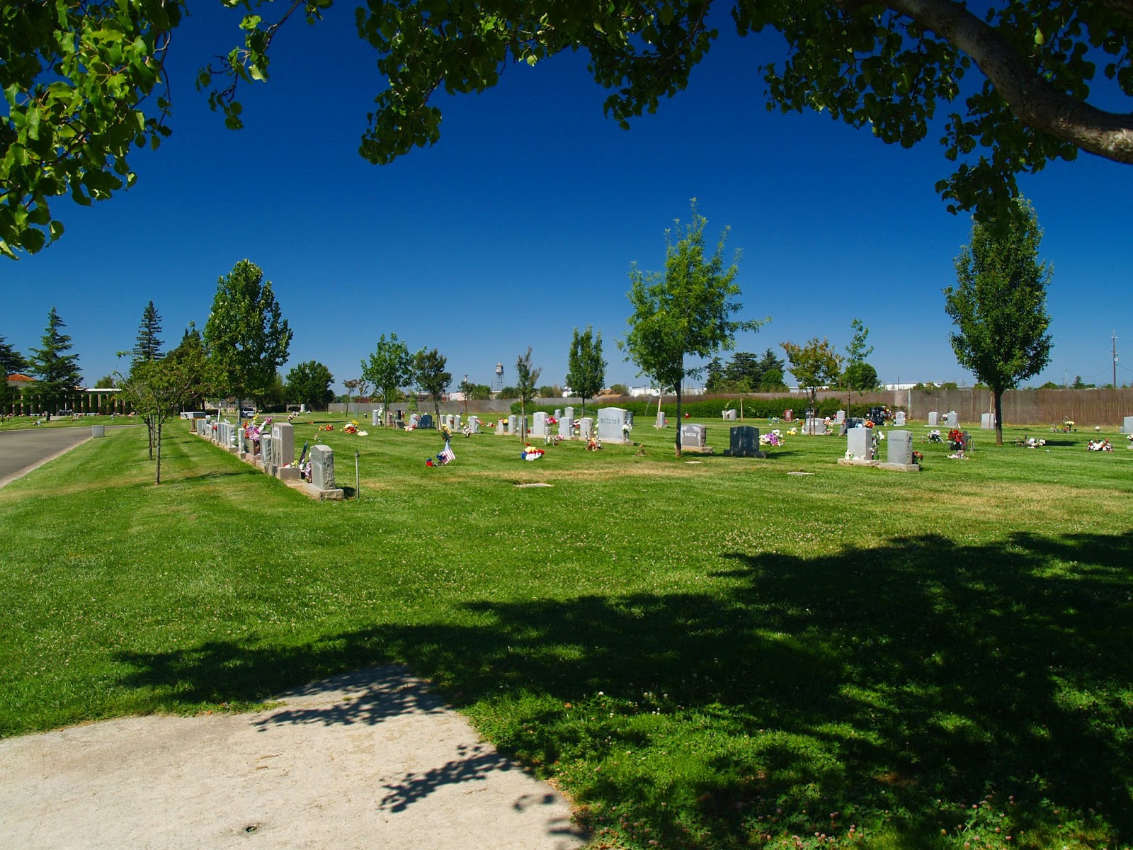 Lodi Memorial Park & Cemetery cemetery grounds and headstones