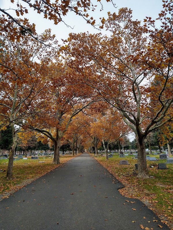 Logan Cemetery grounds