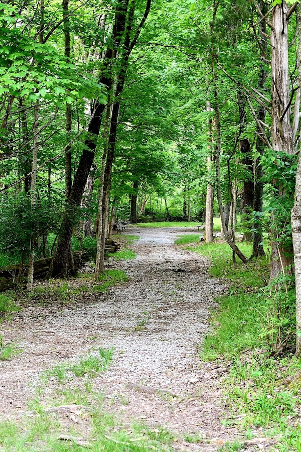 Logan Hubble Memorial Park grounds