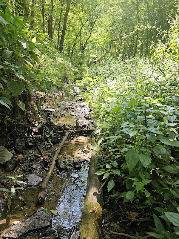 Logan Hubble Memorial Park grounds