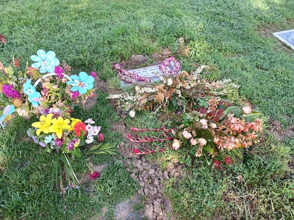 Loma Vista Memorial Park grounds