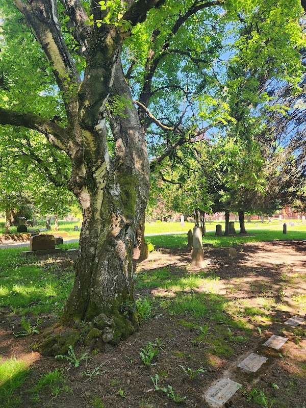 Lone Fir Cemetery grounds