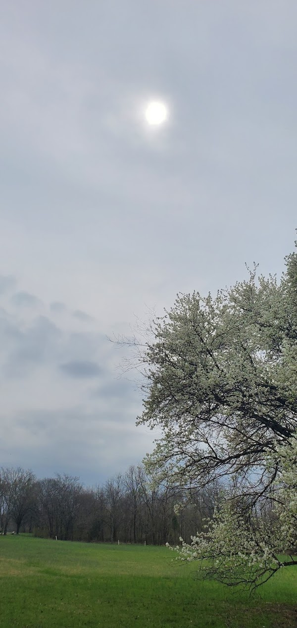 Lone Oak Cemetery grounds