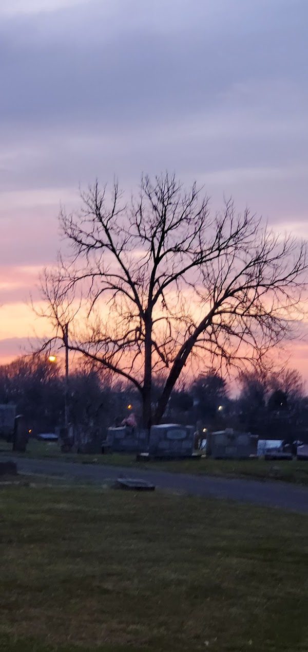 Lone Oak Cemetery grounds