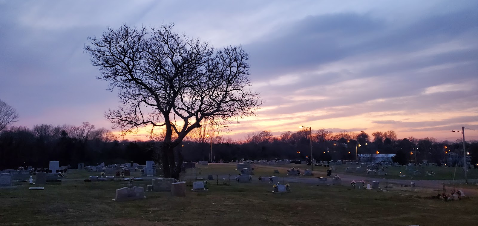 Lone Oak Cemetery cemetery grounds and headstones