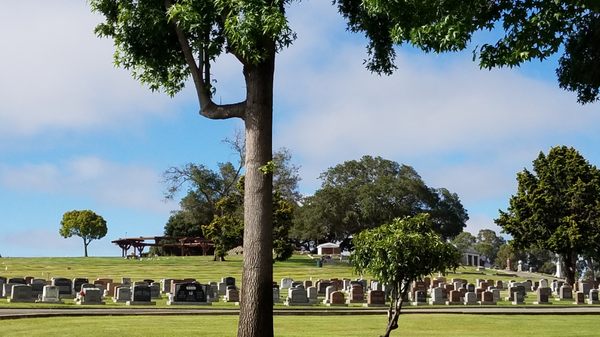 Lone Tree Cemetery grounds