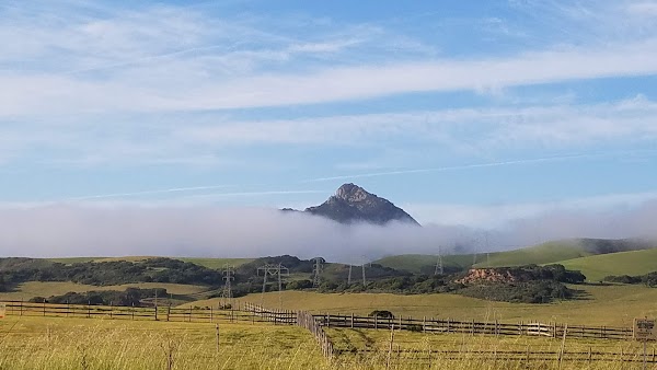 Los Osos Valley Memorial Park grounds