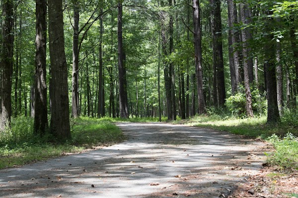 Louise Suggs Memorial Park grounds