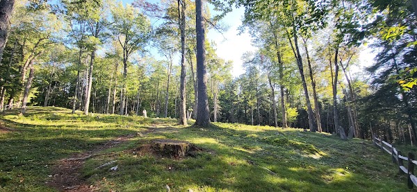 Lowell Lake Cemetery grounds