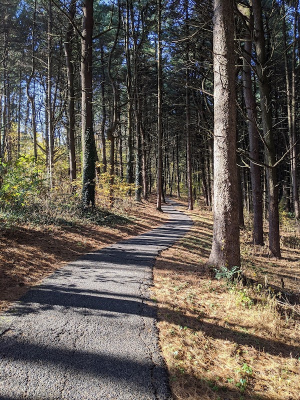 Loyd H Roland Memorial Park grounds